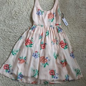 NWT BB Dakota Floral Dress